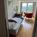 Hotel Videseter