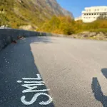 Videseter Stryn