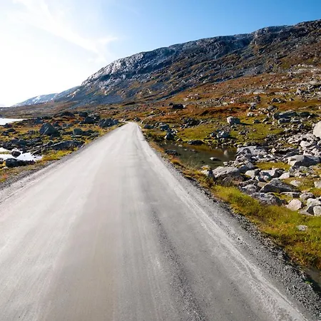 Videseter Stryn