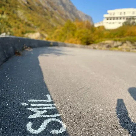 Videseter Stryn