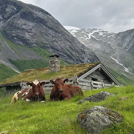 Videseter Hotell
