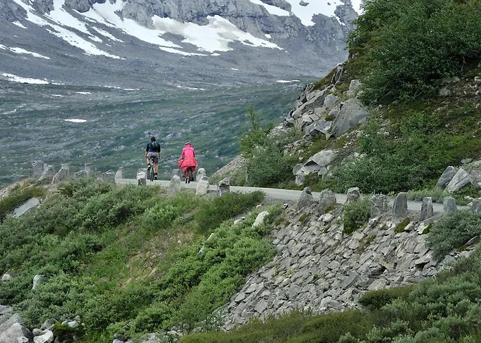 Hotel Videseter Stryn